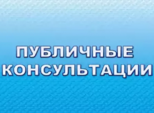 Публичные  консультации.