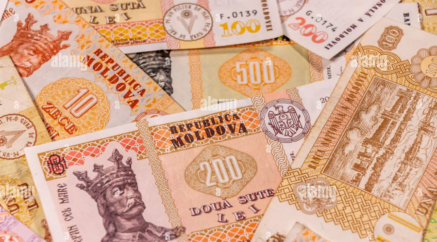 Социальная защита и поддержка  семей.