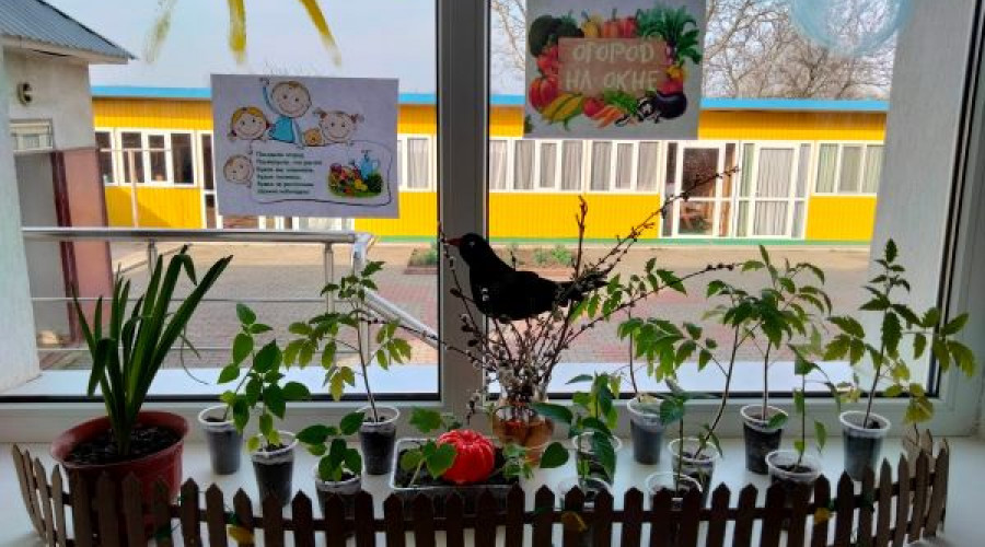 Детский сад