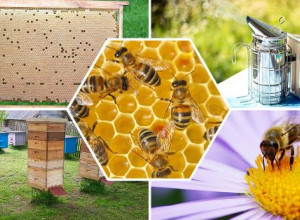 Важный семинар для пчеловодов.