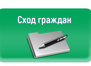 Сход граждан 2024