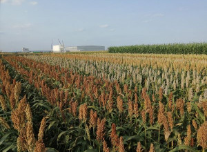 Семинар для сельхозпроизводителей.